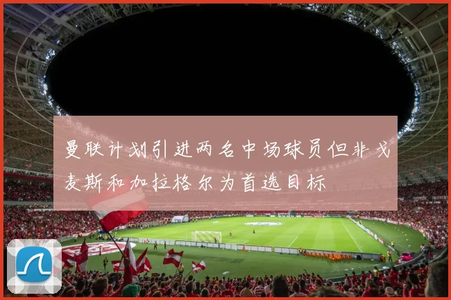 曼联计划引进两名中场球员但非戈麦斯和加拉格尔为首选目标