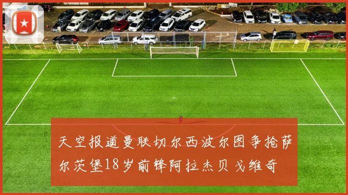 天空报道曼联切尔西波尔图争抢萨尔茨堡18岁前锋阿拉杰贝戈维奇