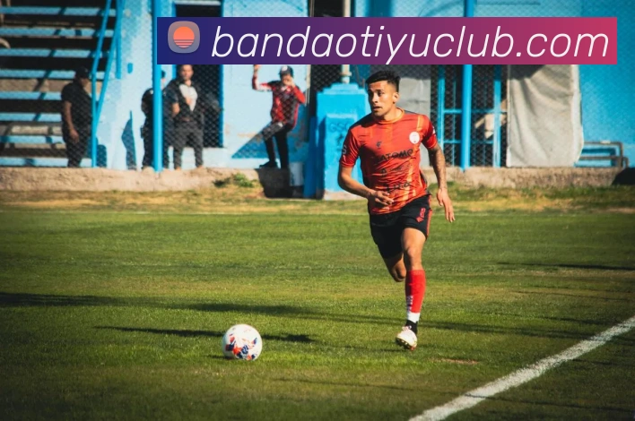 半岛体育平台生态图